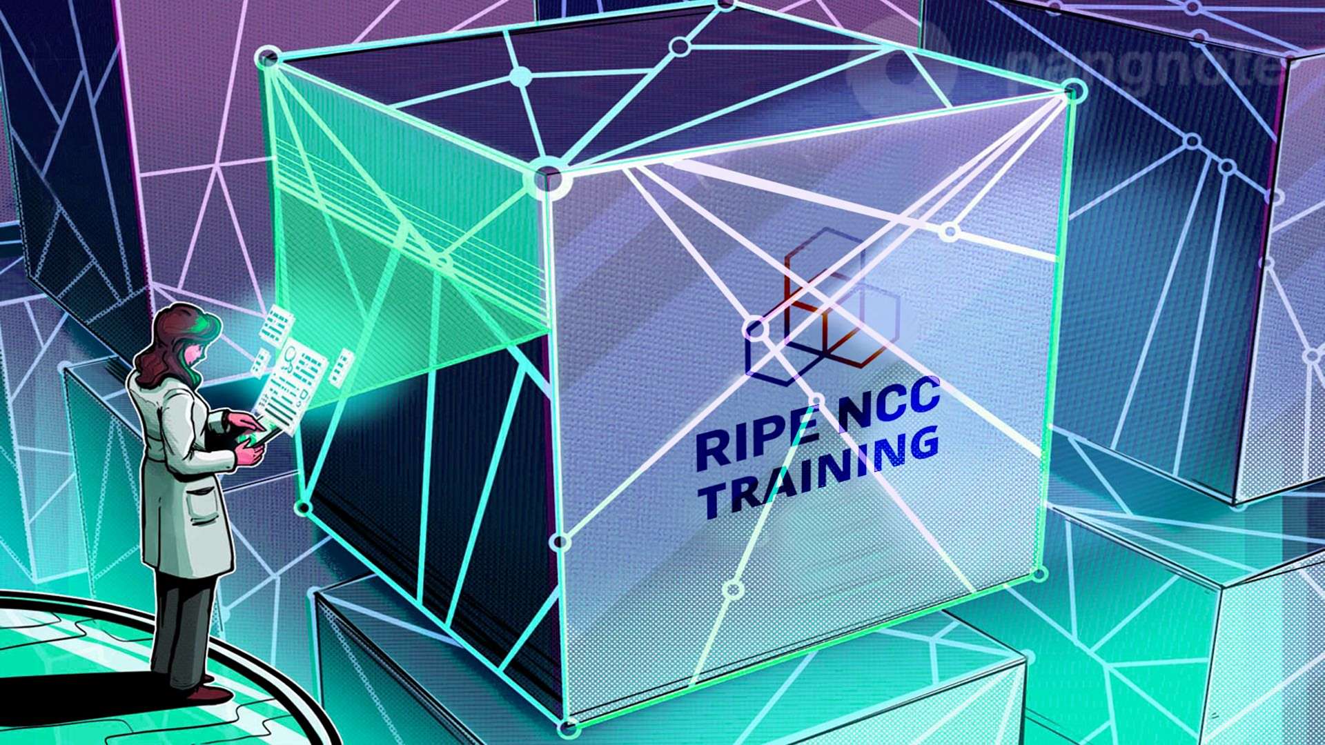 RIPE NCC will now allocate only return blocks 