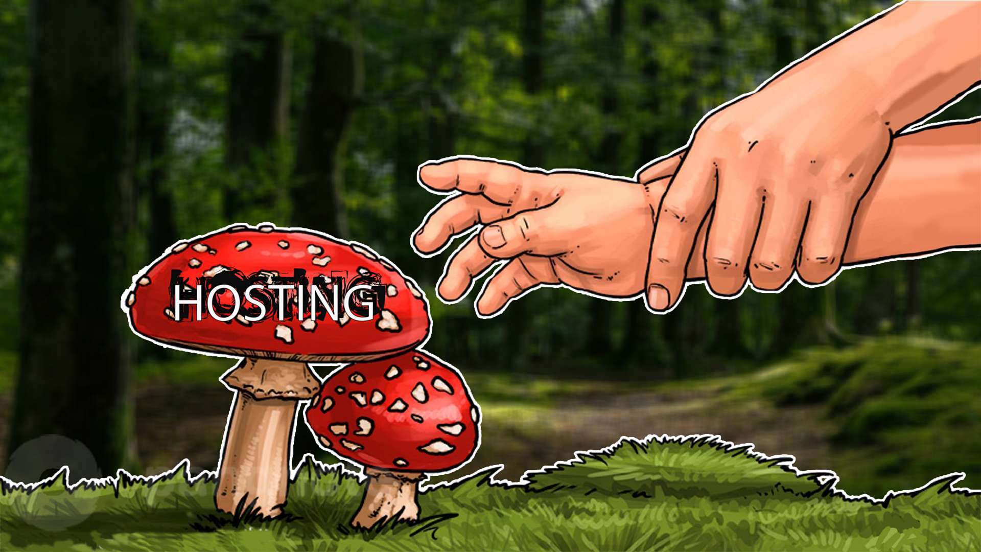 How to avoid mistakes when choosing a hosting