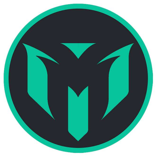 mnroi info